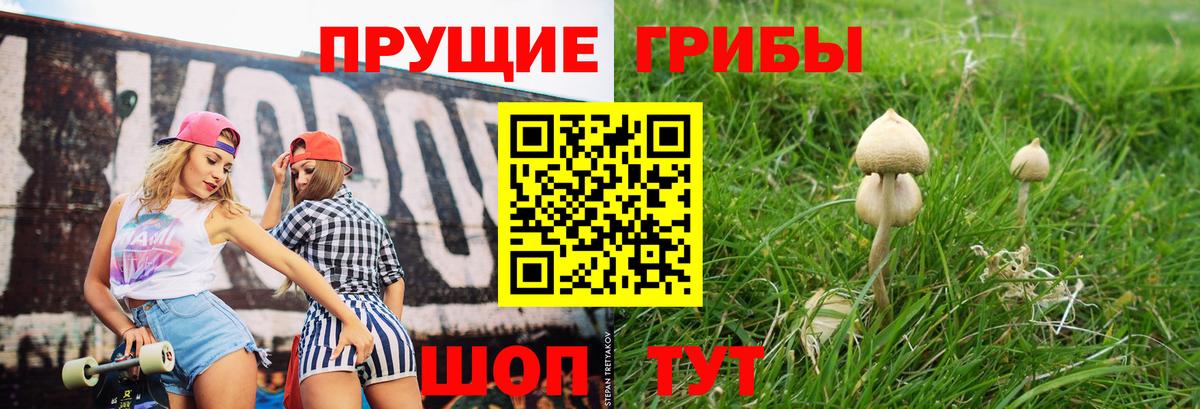 Галлюциногенные грибы Cubensis Феодосия